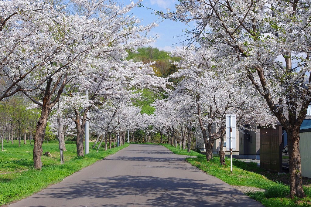 友好自治体　美唄市の紹介の画像その5