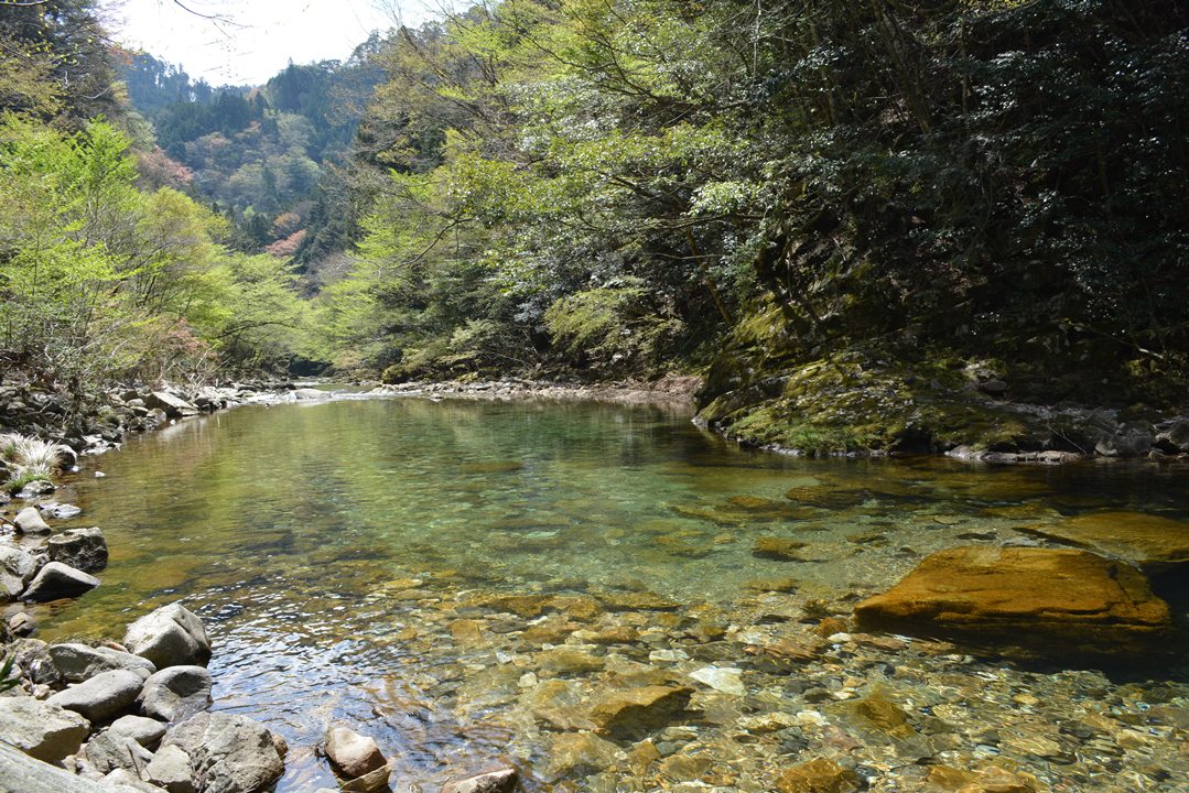 友好自治体　東栄町の紹介の画像その3