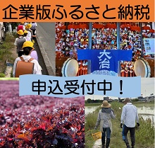 企業版ふるさと納税