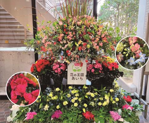 公民館の花きの展示（11月2日～9日）