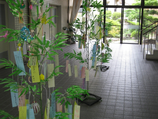 笹写真
