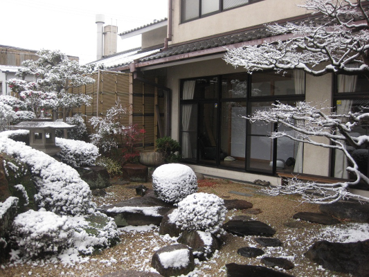 冬の中庭風景