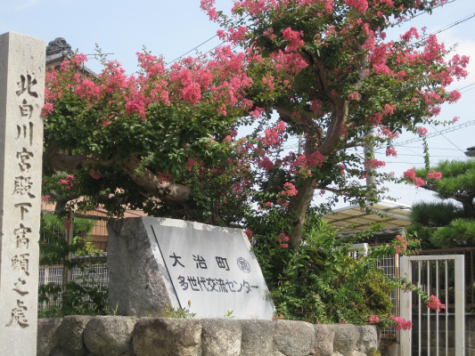夏の風景_さるすべり