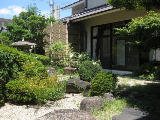 夏の風景_ゆり